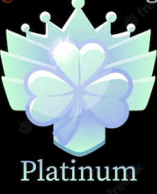 Business Platinum Package Real estate Developer